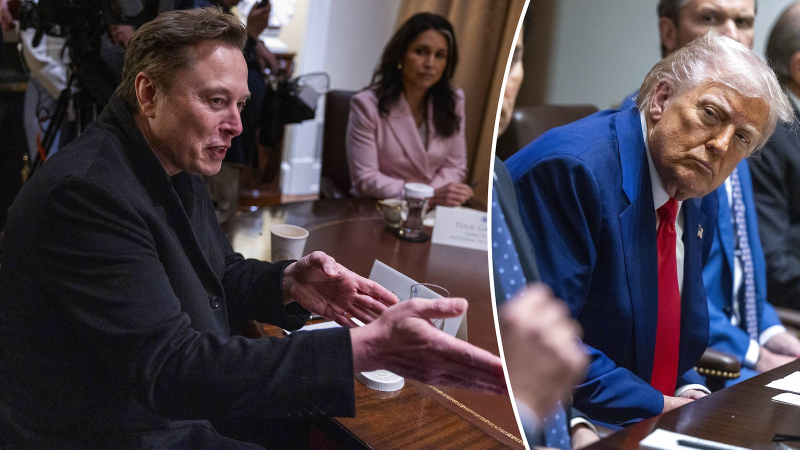 Musk Trump AOP