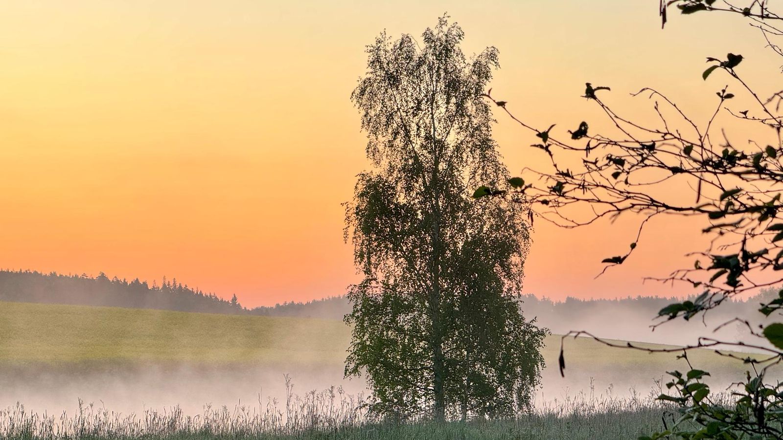 Auringonnousu lukijan kuva MTV