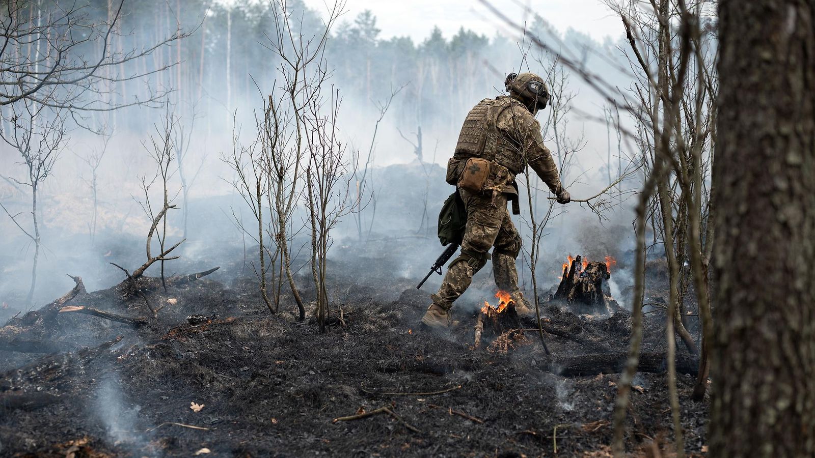 Ukraina sota palo metsä AOP