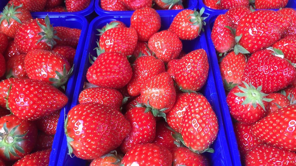 Fakta kotimaisista mansikoista voi yllättää