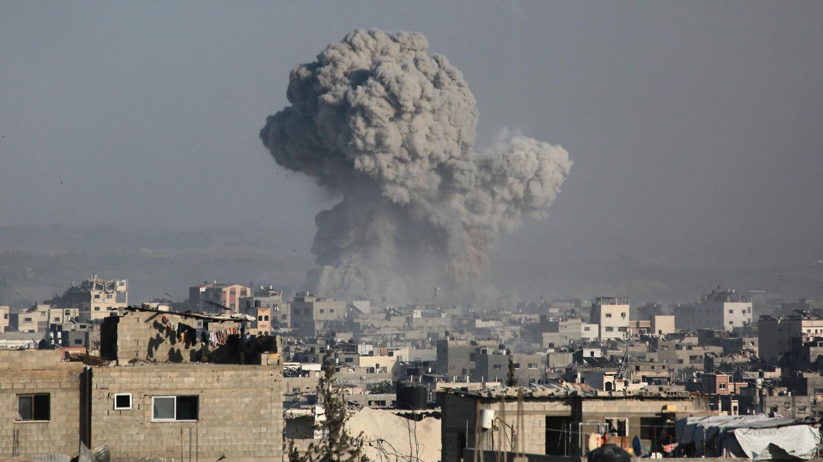 LK gaza (3)