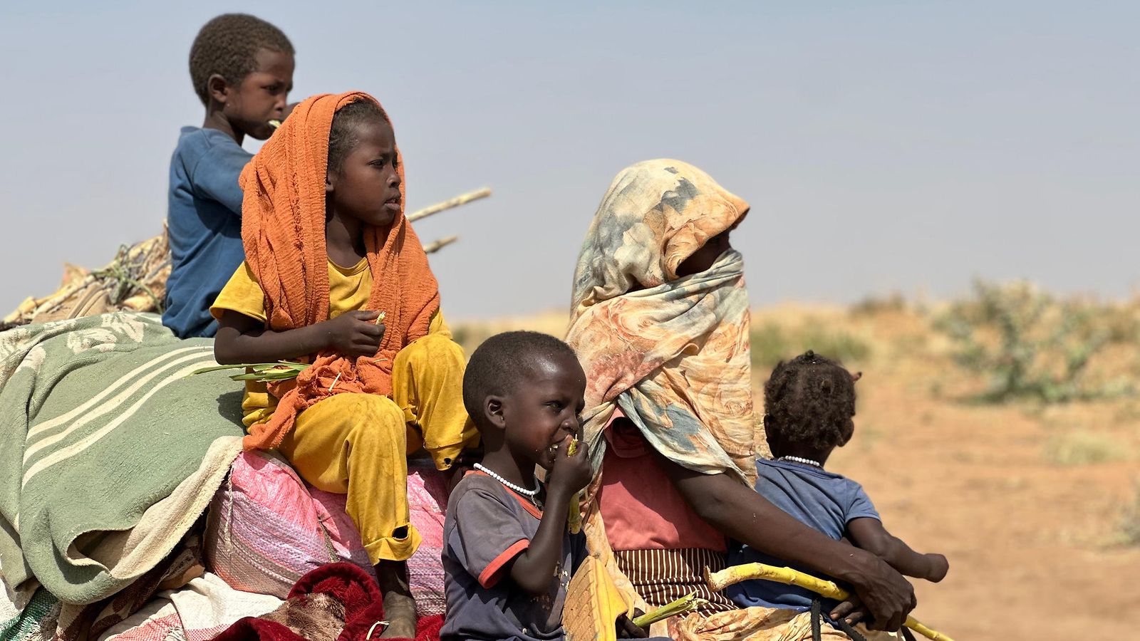 AOP sudan