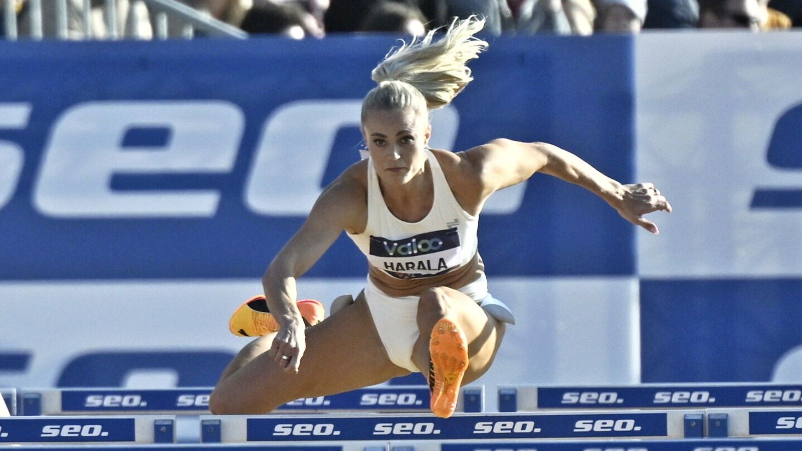Lotta Harala