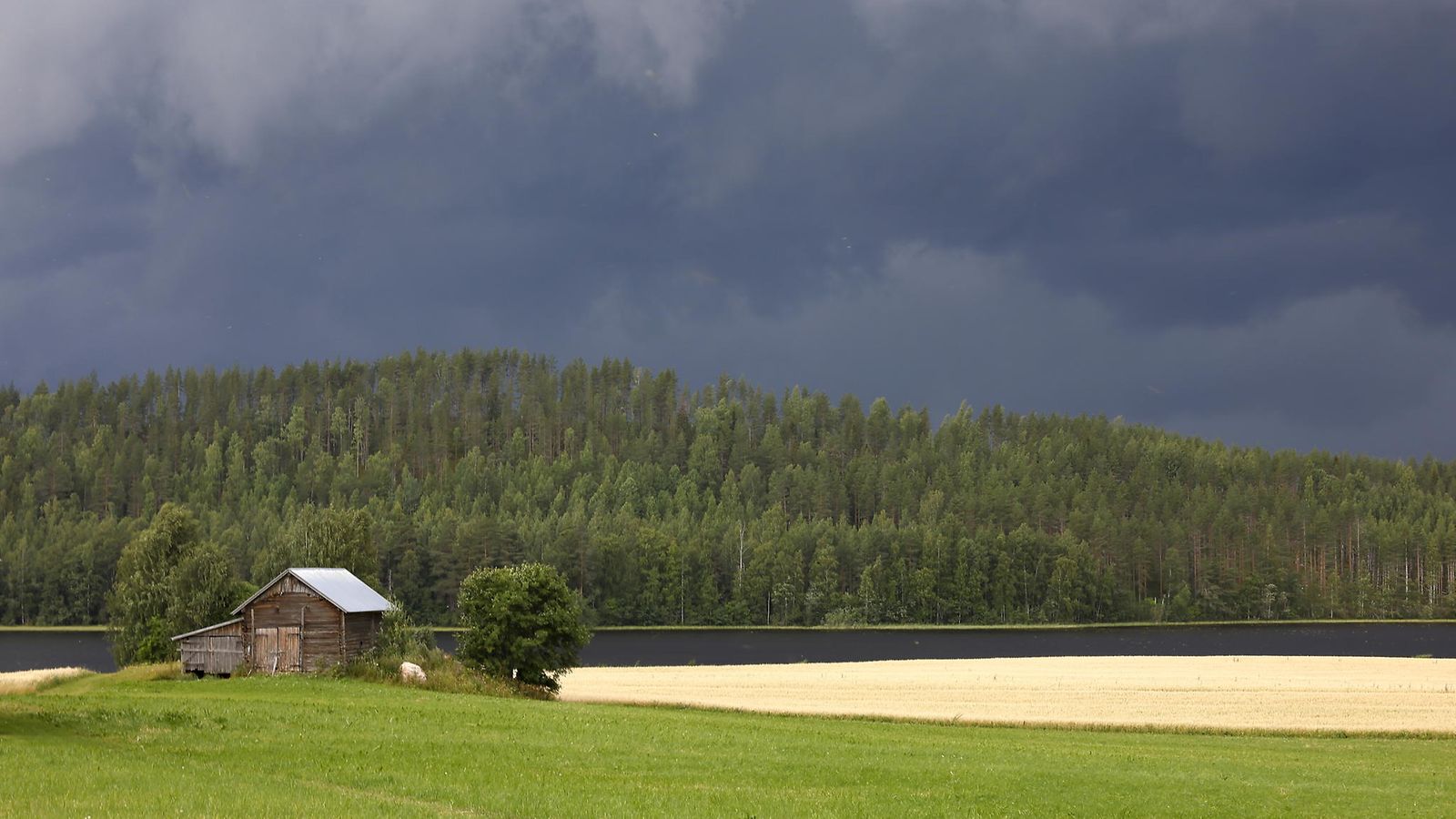AOP ukkonen
