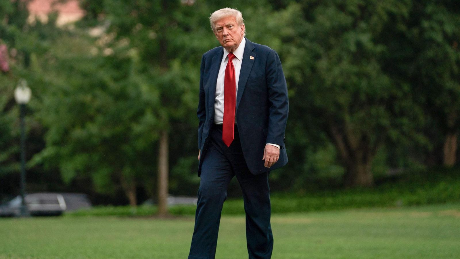 AOP donald trump (8)