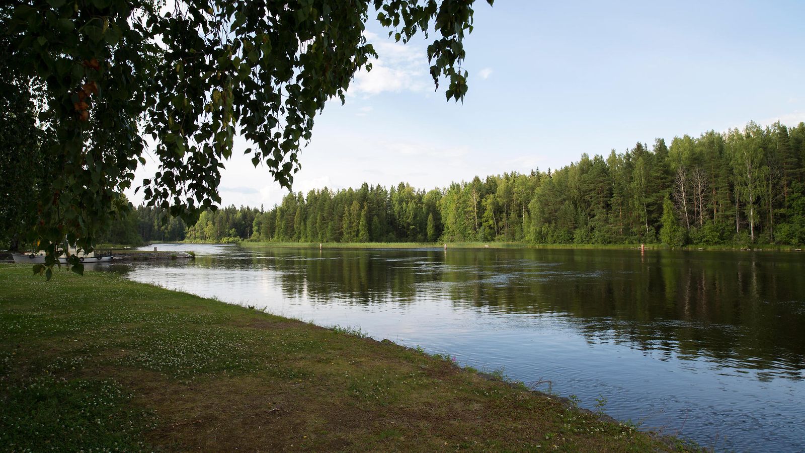 AOP konnuskoski