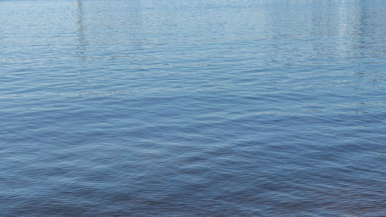 shutterstock vesi (1)