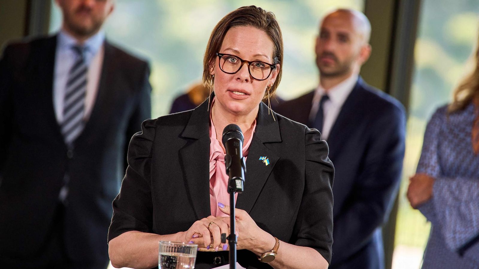 LK maria malmer stenergard