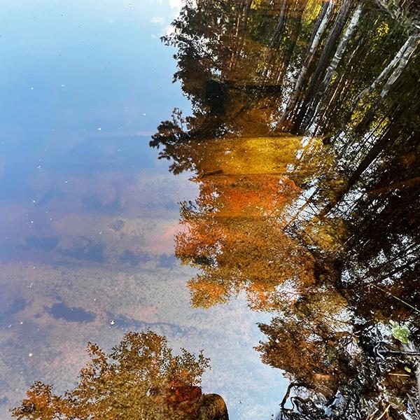 Lohja mineriittilevy