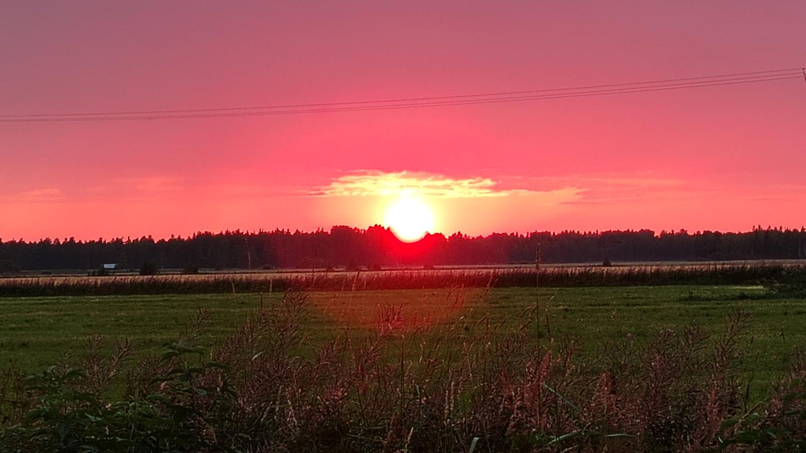 0808 Aurinko 1