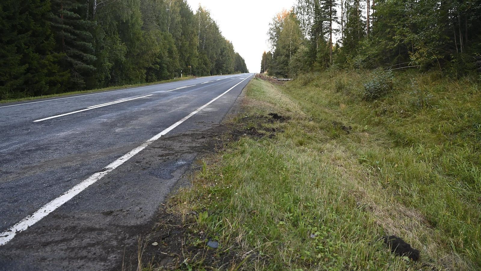 LK Tammela 26.8.2025