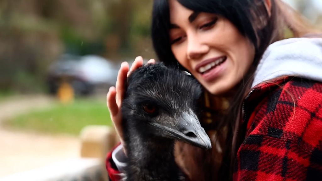 Brittinainen teki melkoisen munalöydön eBaysta