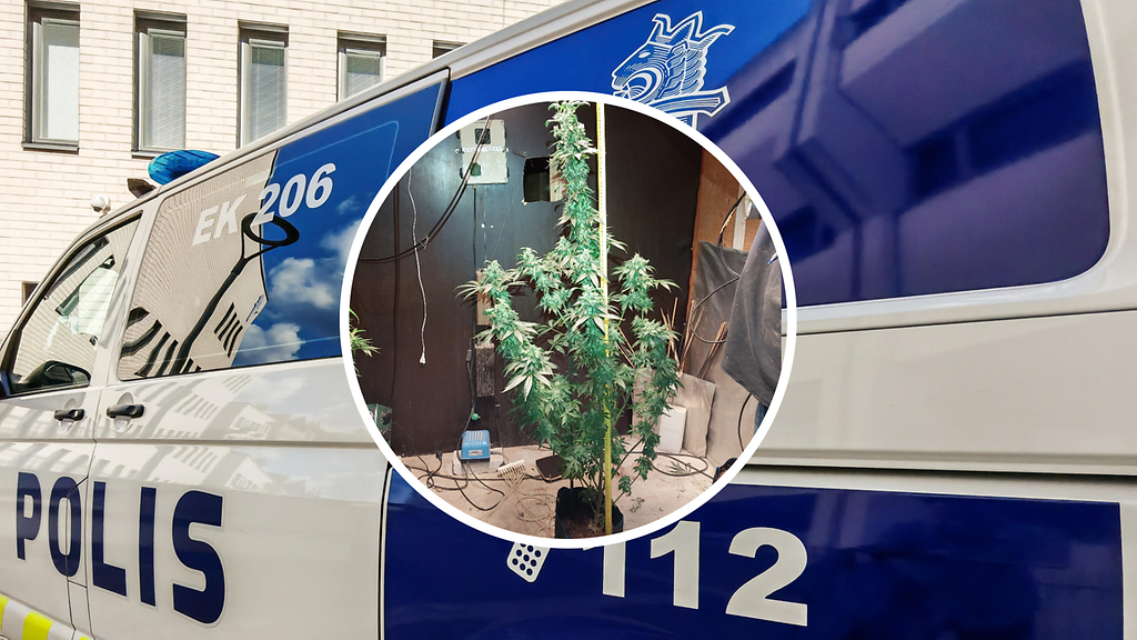 Poliisi ratsasi vuosia toimineet Keiteleen kannabiskasvattamot – mies ja nainen vangittu