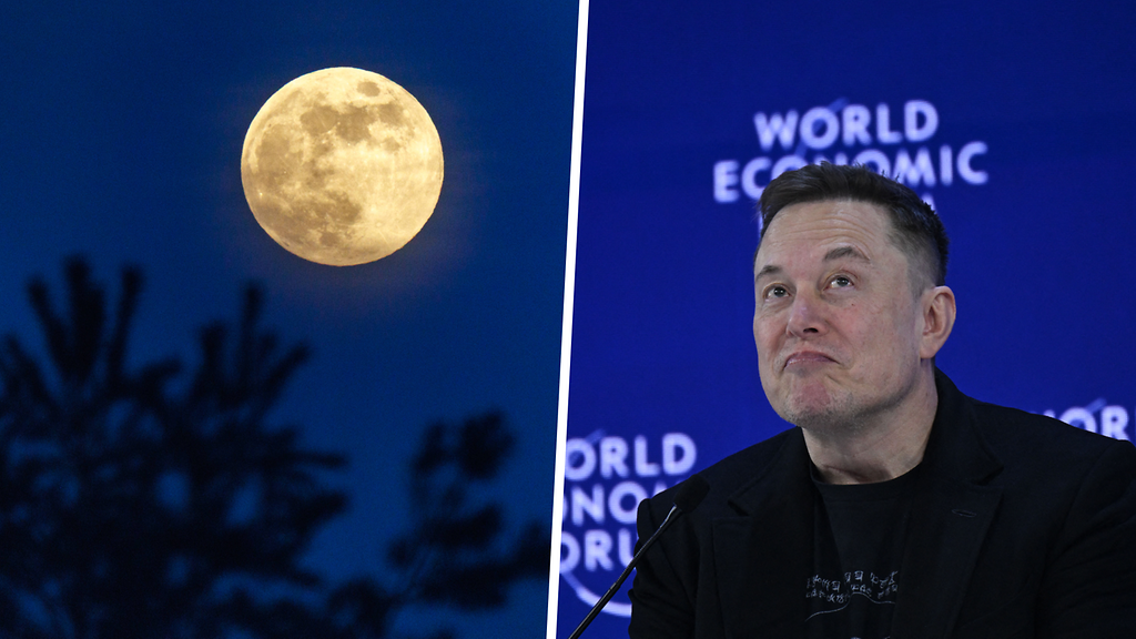 Elon Musk aikoo rakentaa kaupungin Kuuhun: "Mahdollista alle 10 vuodessa"