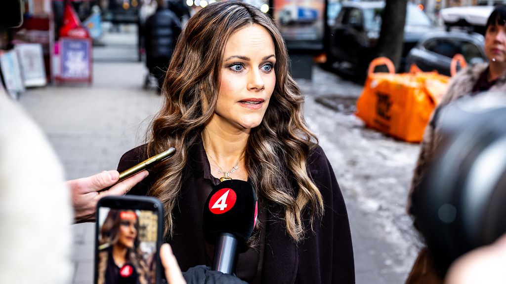 Prinsessa Sofia vahvistaa: Tapasi Epsteinin kahdesti