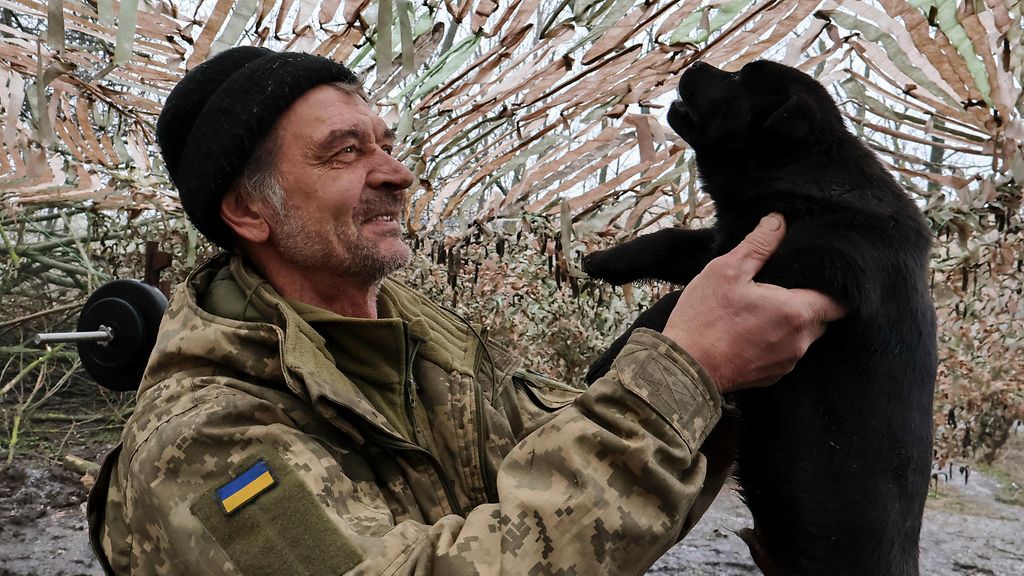 Sota muutti Ukrainan koiria tavalla, joka yllätti tutkijatkin