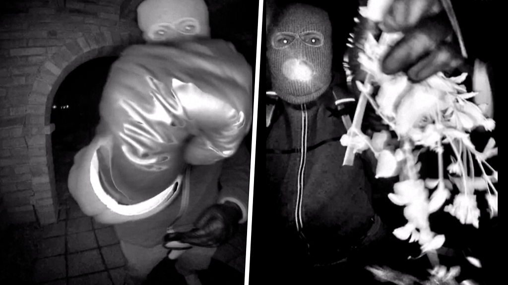 Tv-tähden äidin katoamisessa pidätys – FBI jakoi pysäyttävän videon naamiomiehestä