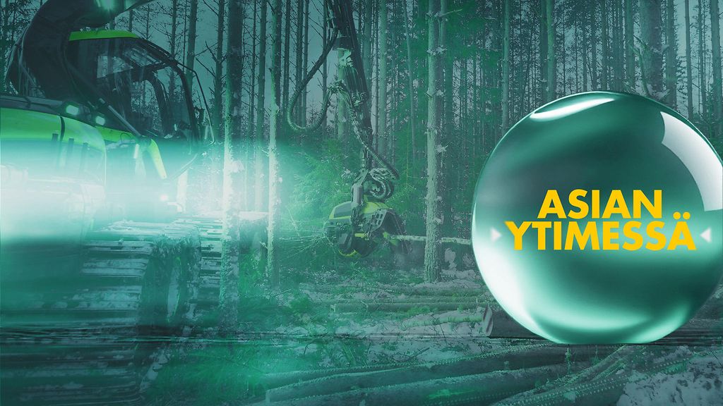 Asian ytimessä kello 19.30: Pitääkö metsähakkuita vähentää ja mikä on sen hinta?