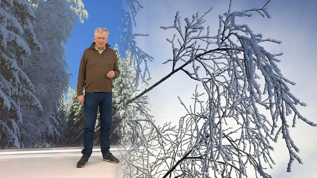 Pekka Pouta: Kovien pakkasten viikonloppuun liittyy "lämpäre", joka herättää kysymyksen