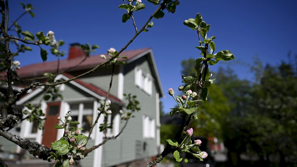 Legionellabakteeri tarttuu yhä useammin myös kotipuutarhassa – taudin kehittymiseen tarvitaan kuitenkin huonoa tuuria