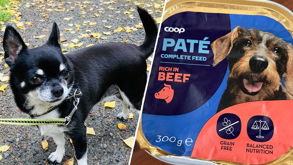 Tiia löysi terävän muovinpalan Coopin koiranruoasta – jo kolmas tapaus tänä vuonna