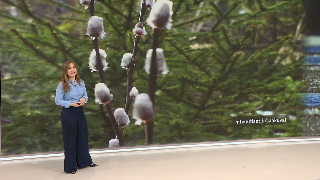 Pääsiäisviikolla saa hytistä: Puuskia, vettä, räntää ja lunta