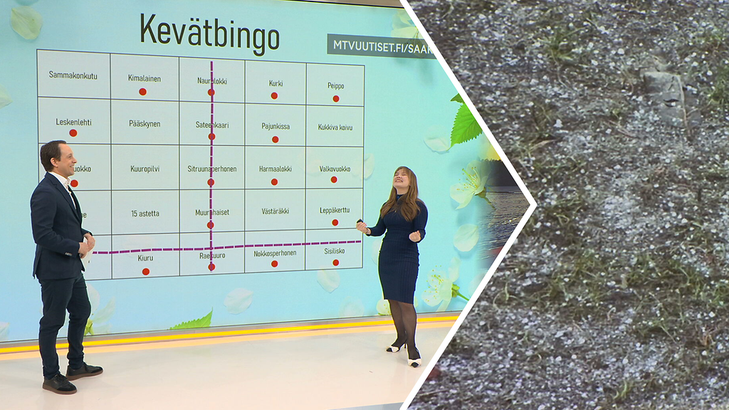 Rakeita maaliskuussa! MTV:n meteorologien kevätbingo täyttyi