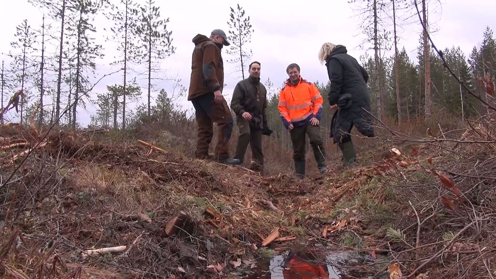 Ilomantsissa tehtiin poikkeuksellinen suokauppa