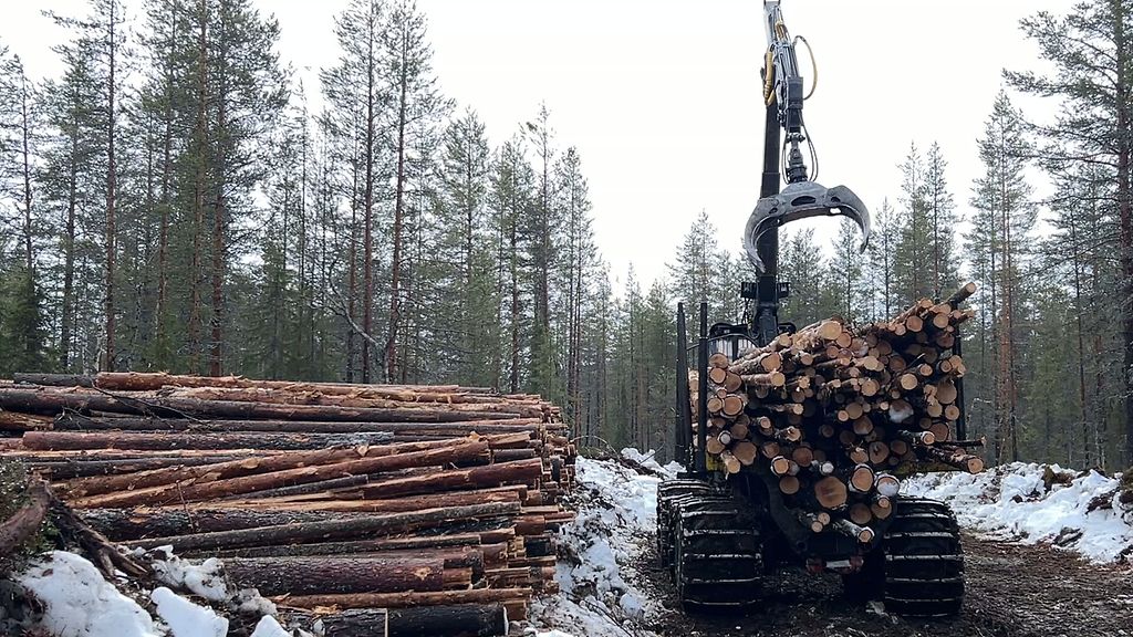 Kevät yllätti puukuljetukset Lapissa – viivästykset näkyvät lompakossa