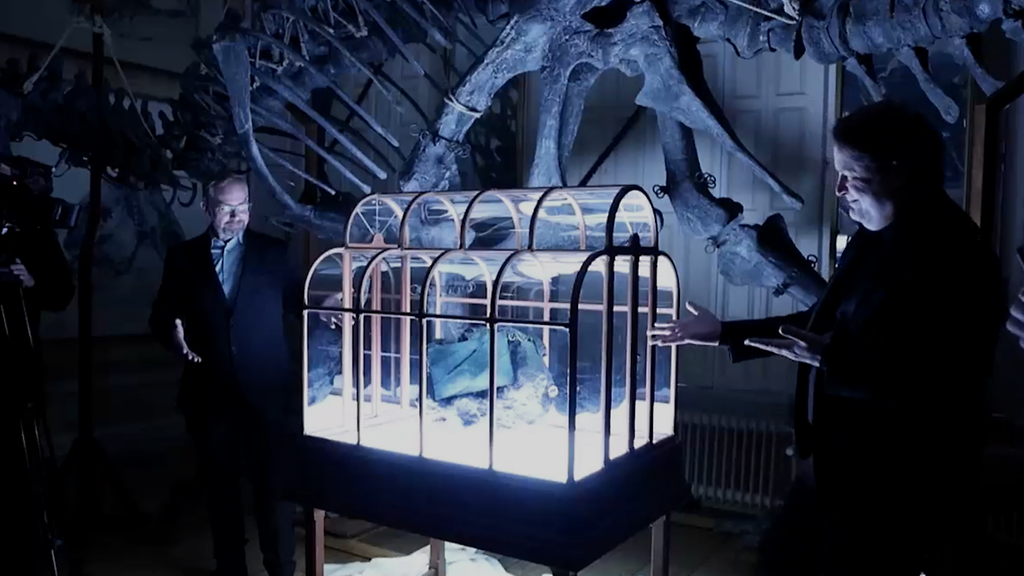 Tutkijat: Tämä laukku on tehty Tyrannosaurus rex -nahasta