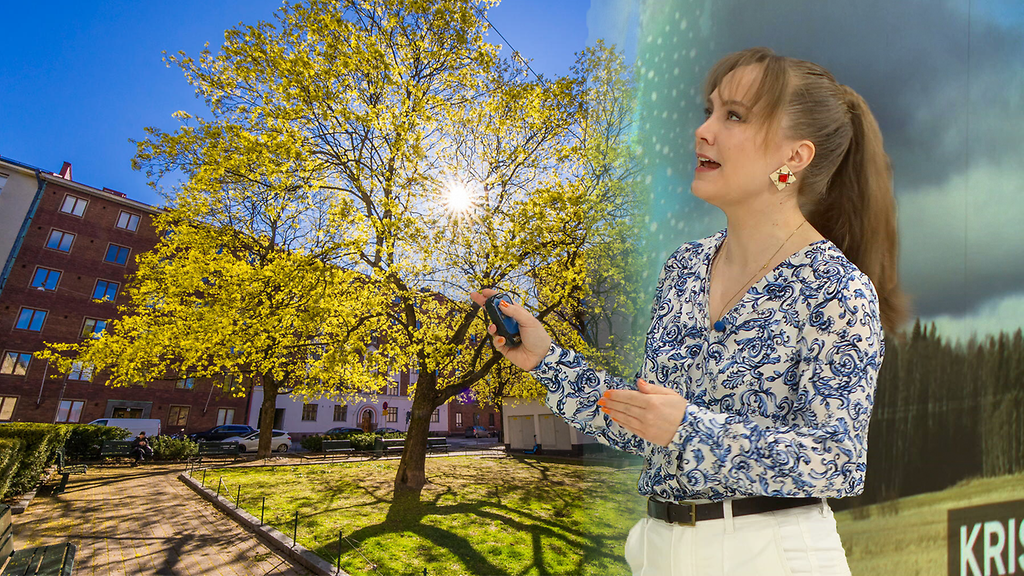 Jopa +15: Lämmintä vappuun asti! Sitä ennen vaaran paikka herkillä