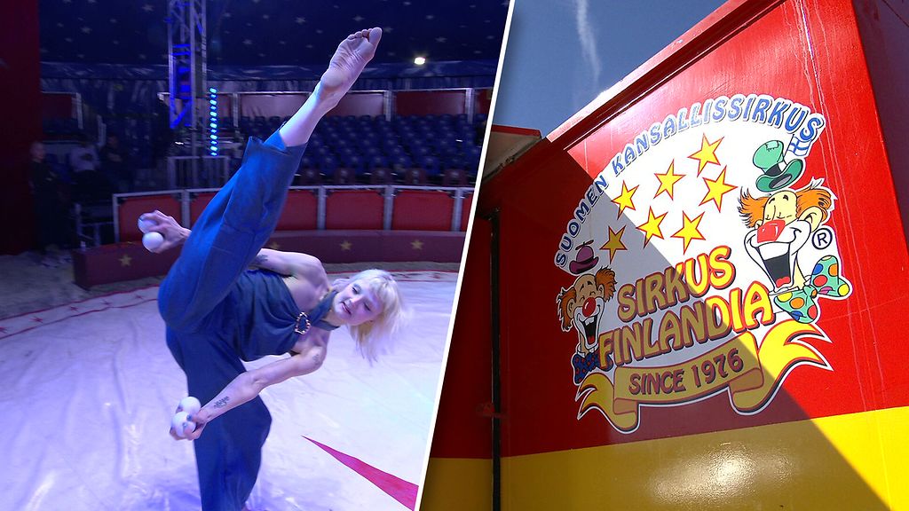 Tällaista on 50-vuotiaan Sirkus Finlandian elämä kulissien takana: 