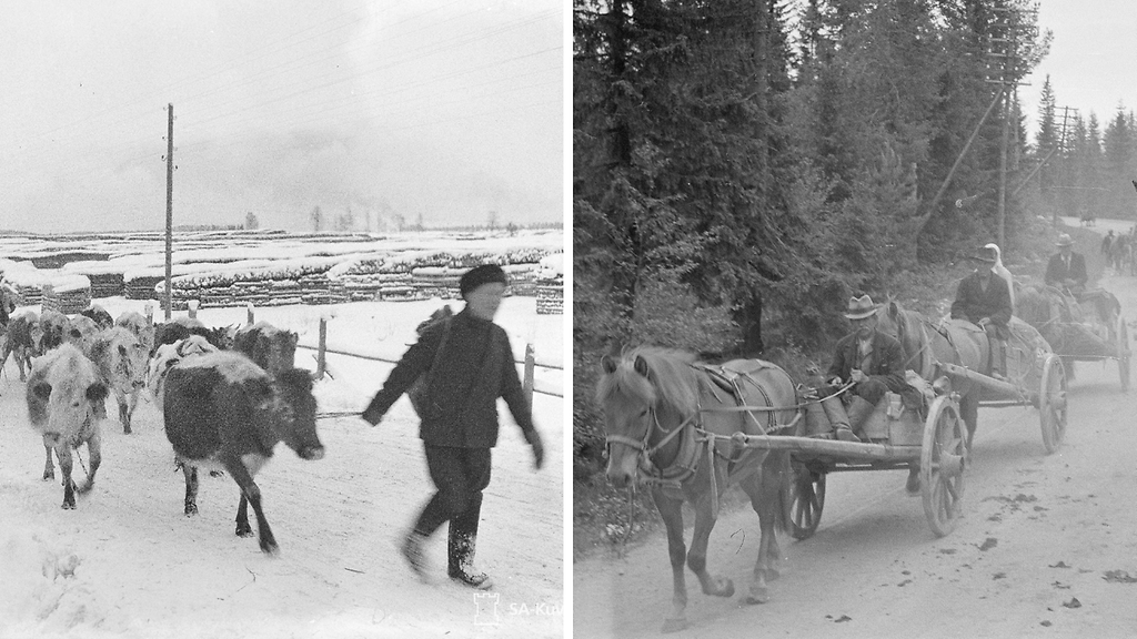 Tänään on harvinainen liputuspäivä – juuret synkissä tapahtumissa
