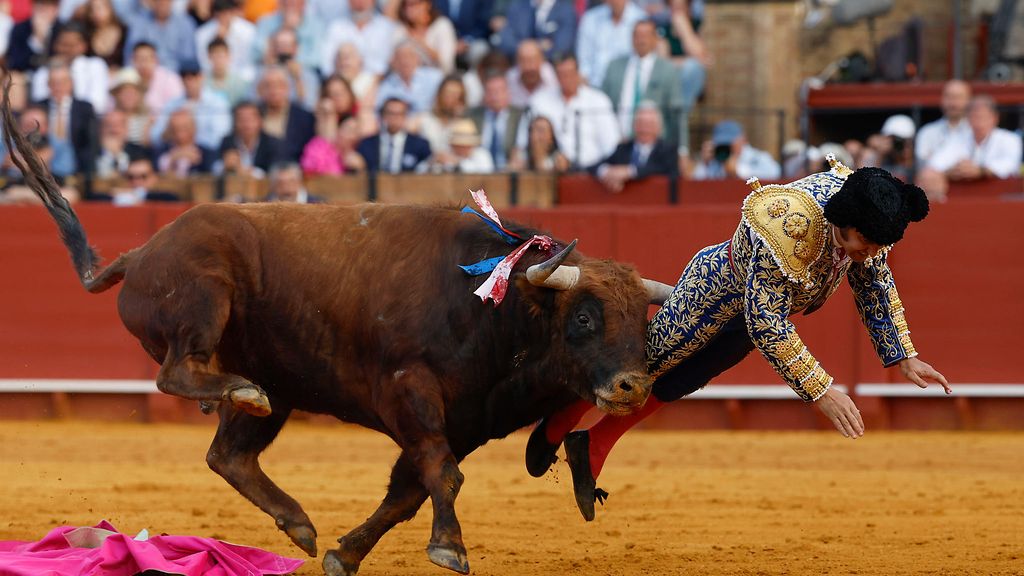 Härkä seivästi legendaarisen matadorin takapuolen – kuvat eivät herkille