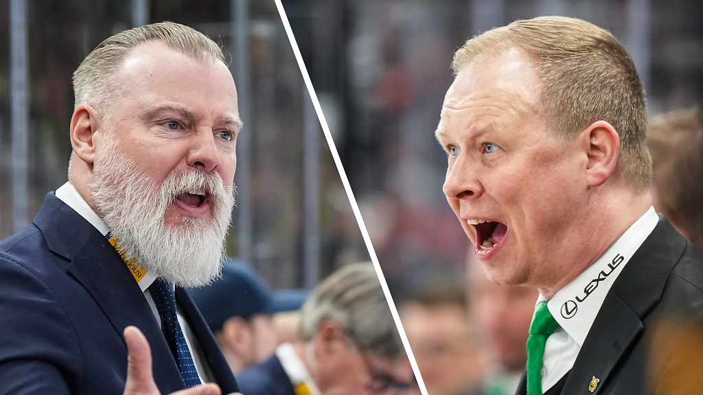 Grönborgin ja Niemelän paljastukset tikunnokassa: 