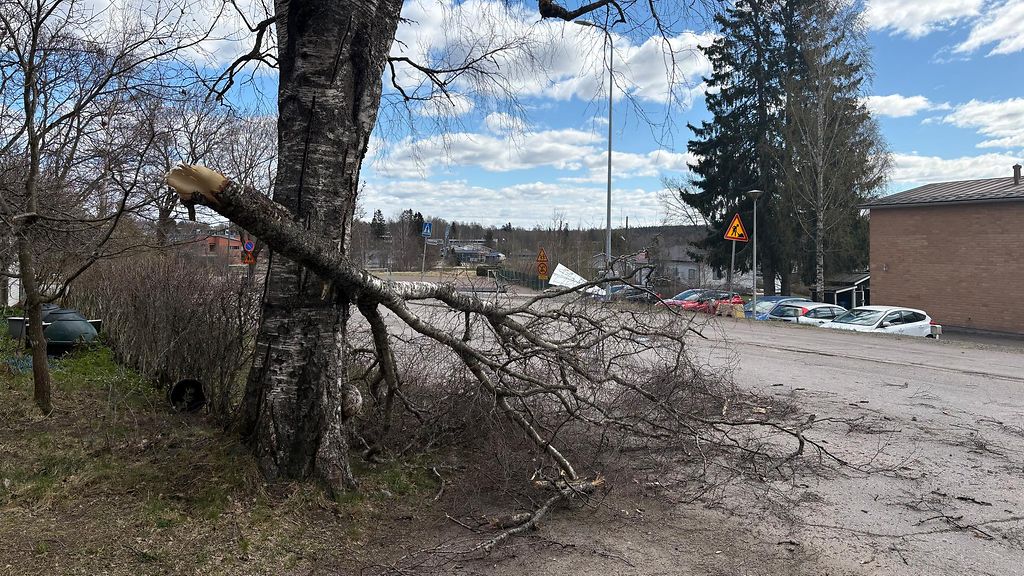 Tuulivahingot työllistävät pelastuslaitoksia Etelä-Suomessa