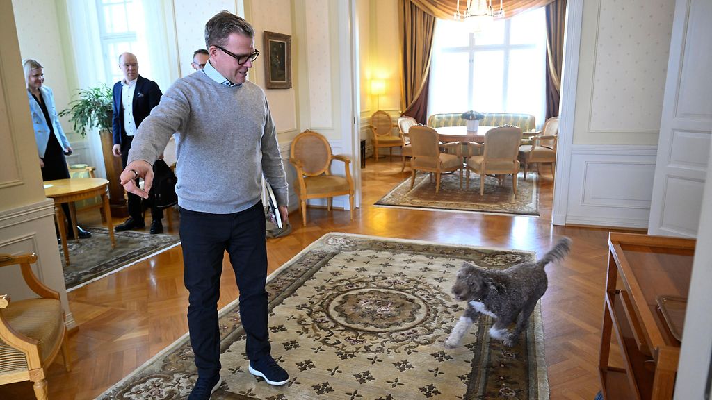 Video: Petteri Orpon Pessi-koira varasti show'n Kesärannassa