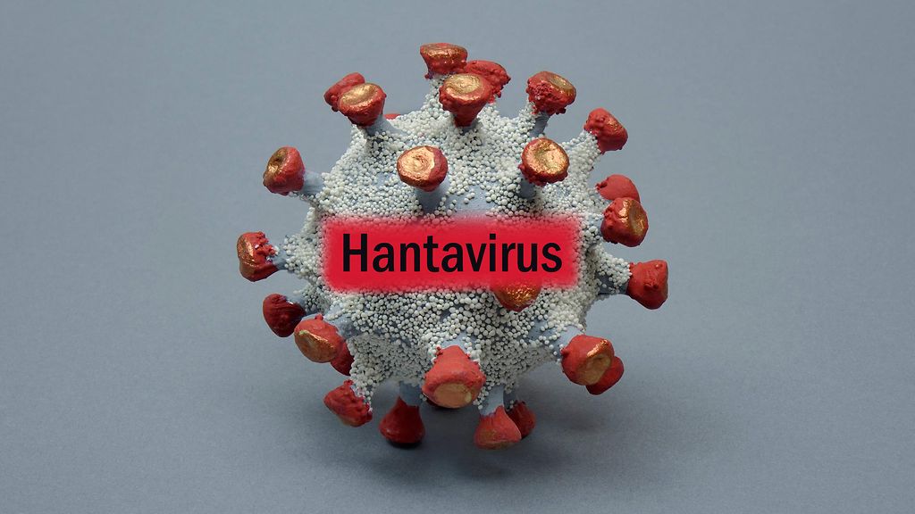 Argentiinan hantavirustartunnoissa tapahtunut yllättävä käänne