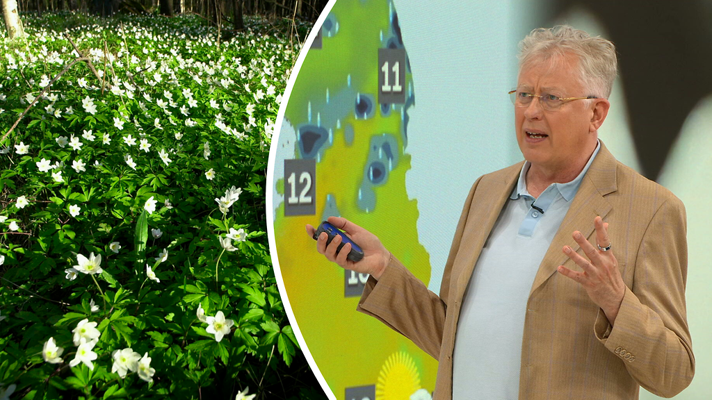 Pekka Pouta: Upea uutinen äideille
