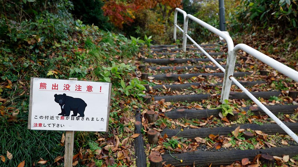 Karhu tappoi naisen Japanissa – jatkoa surulliselle edellisvuodelle