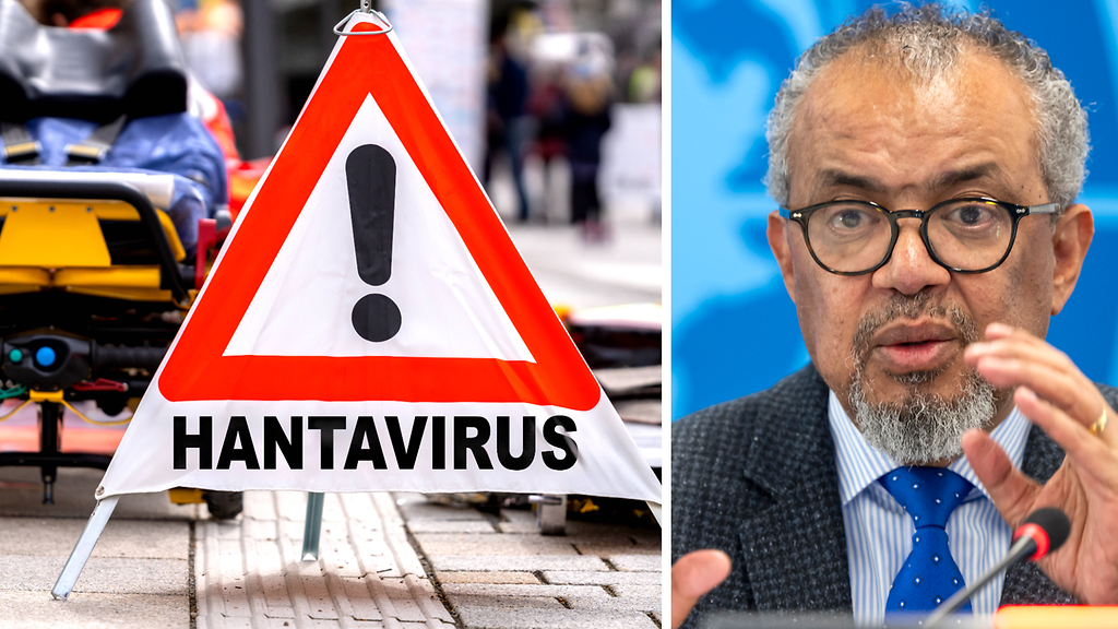 WHO:n johtajalta poikkeuksellinen viesti hantavirukseen liittyen: 
