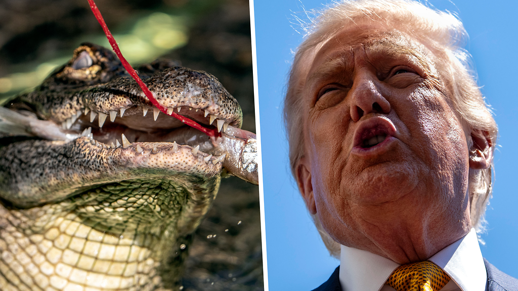 Trumpin ylistämän 