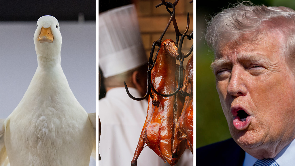 Xi Jinpingin kokit eivät ottaneet Trumpin kanssa riskejä – tällaista apetta oli tarjolla
