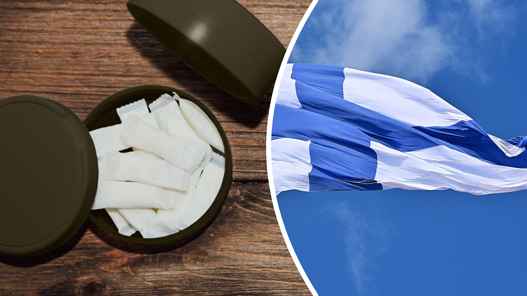 Suomella on vain hetki armonaikaa nikotiinipussien suhteen, sanoo professori: 