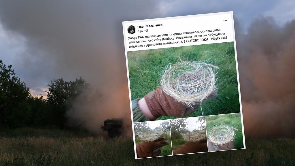 Ukrainalaisen tutkijan jakama kuva paljastaa pysäyttävän näy