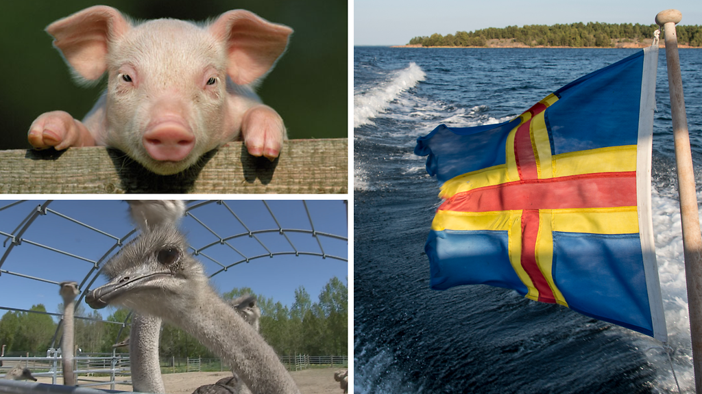 Maailmantilanne pitää matkailijat Suomessa – tämä Ahvenanmaa