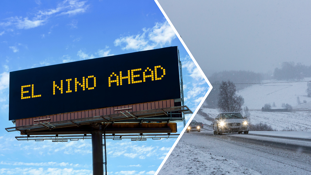 MTV kysyi meteorologilta: Näin "Godzilla" El Niño voi näkyä 