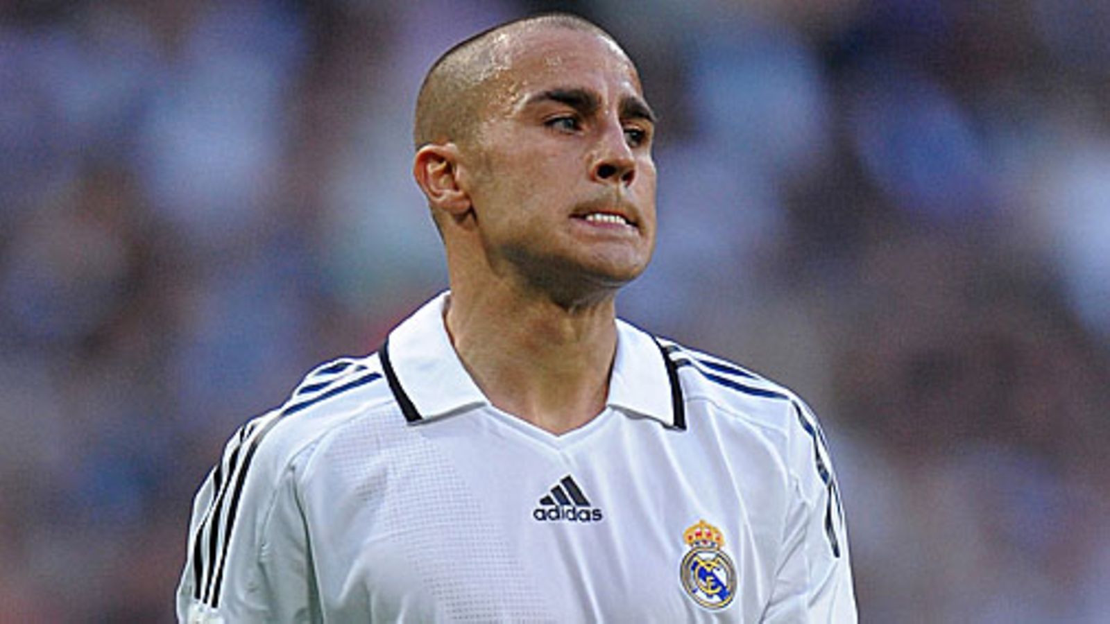 Fabio Cannavaro, kuva: Jasper Juinen/Getty Images