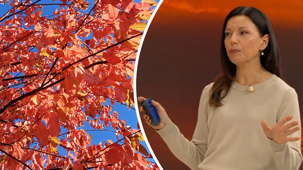 Liisa Rintaniemi: Nauttikaa, kohta ilo muuttuu