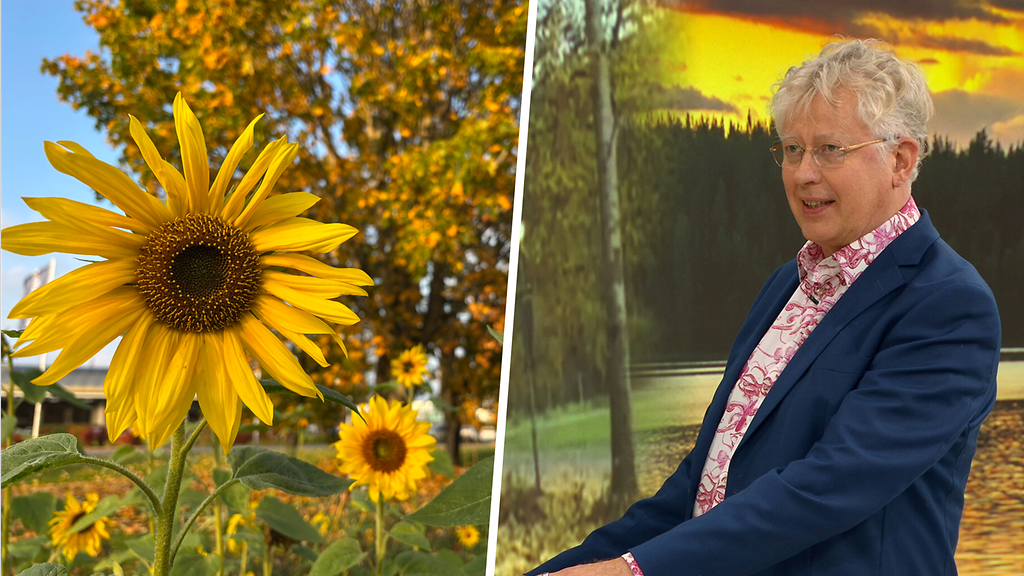 Terminen kesä sen kun jatkuu – Pekka Pouta: "Aika uskomaton tilanne"